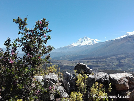 Andean Peaks