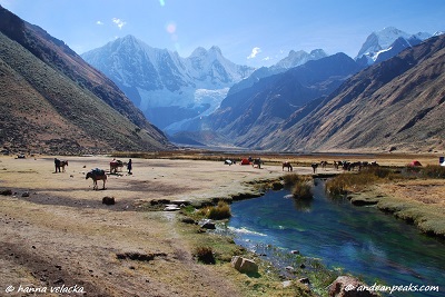 Jahuacocha Lake  - Cordillera Huayhuash